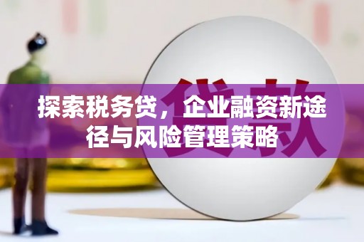 硚口探索税务贷，企业融资新途径与风险管理策略