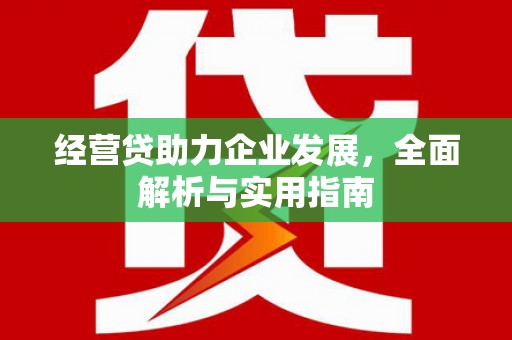 硚口经营贷助力企业发展，全面解析与实用指南