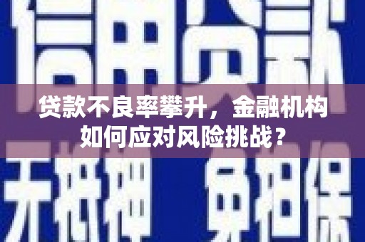 硚口贷款不良率攀升，金融机构如何应对风险挑战？