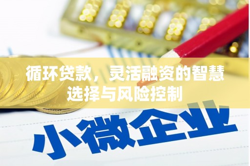 硚口循环贷款，灵活融资的智慧选择与风险控制