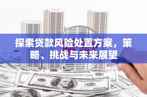硚口探索贷款风险处置方案，策略、挑战与未来展望