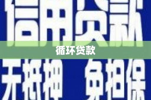 硚口循环贷款