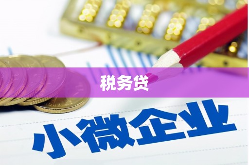 硚口税务贷