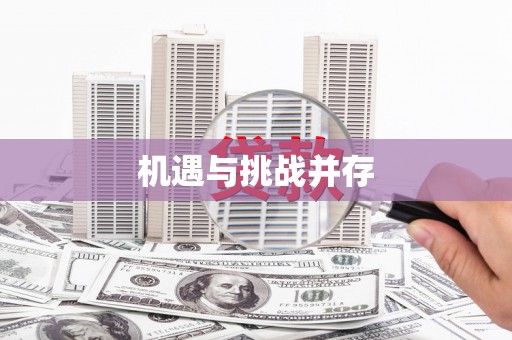 硚口机遇与挑战并存