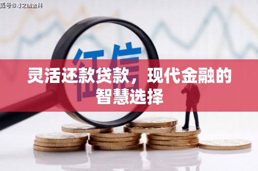 硚口灵活还款贷款，现代金融的智慧选择