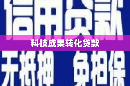 硚口科技成果转化贷款