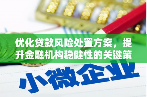 硚口优化贷款风险处置方案，提升金融机构稳健性的关键策略
