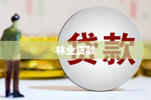 硚口林业贷款