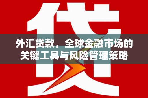 硚口外汇贷款，全球金融市场的关键工具与风险管理策略