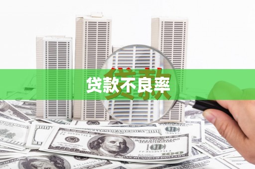 硚口贷款不良率