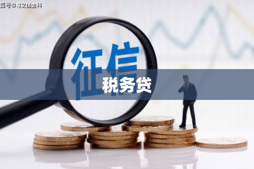 硚口税务贷