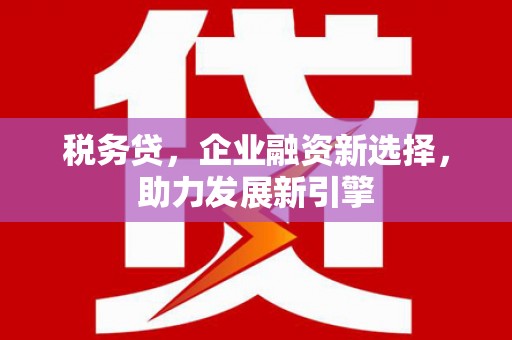 硚口税务贷，企业融资新选择，助力发展新引擎