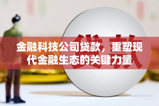 硚口金融科技公司贷款，重塑现代金融生态的关键力量