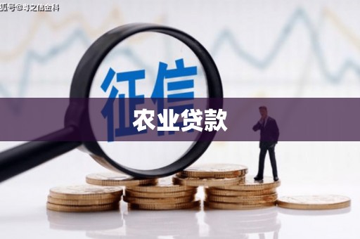 硚口农业贷款