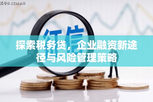 硚口探索税务贷，企业融资新途径与风险管理策略