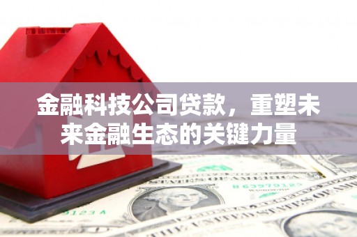 硚口金融科技公司贷款，重塑未来金融生态的关键力量