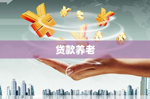 硚口贷款养老