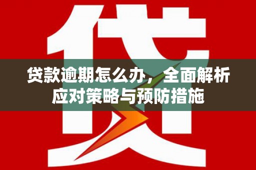 硚口贷款逾期怎么办，全面解析应对策略与预防措施