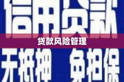 硚口贷款风险管理