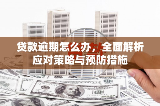 硚口贷款逾期怎么办，全面解析应对策略与预防措施