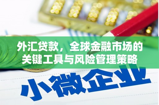 硚口外汇贷款，全球金融市场的关键工具与风险管理策略