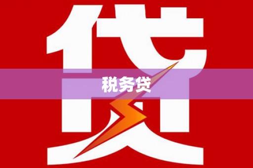 硚口税务贷