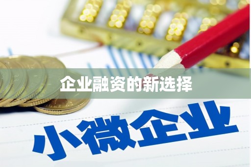 硚口企业融资的新选择