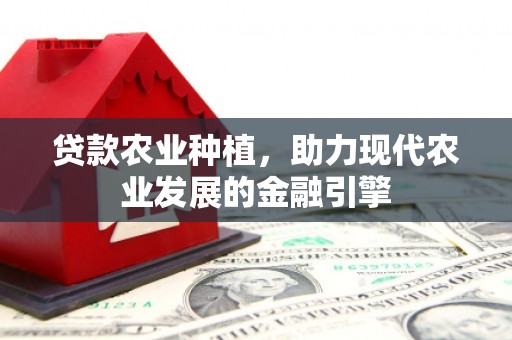 硚口贷款农业种植，助力现代农业发展的金融引擎