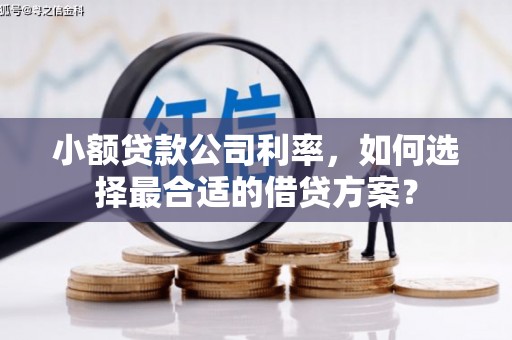 硚口小额贷款公司利率，如何选择最合适的借贷方案？