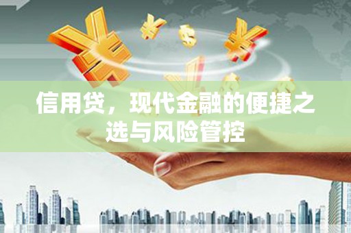 硚口信用贷，现代金融的便捷之选与风险管控