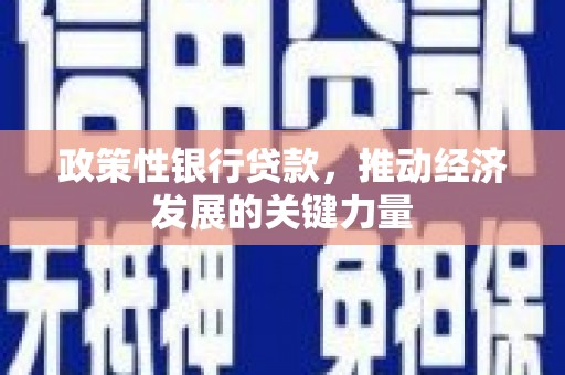 硚口政策性银行贷款，推动经济发展的关键力量