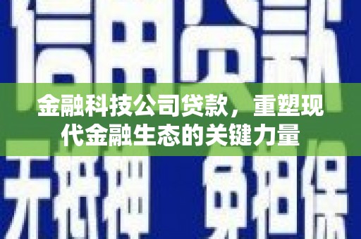 硚口金融科技公司贷款，重塑现代金融生态的关键力量