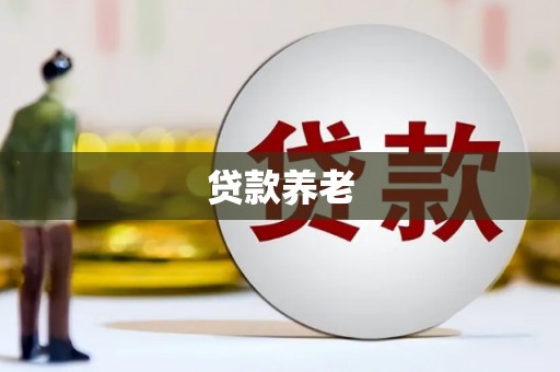 硚口贷款养老