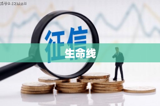 硚口生命线
