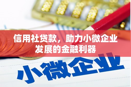 硚口信用社贷款，助力小微企业发展的金融利器