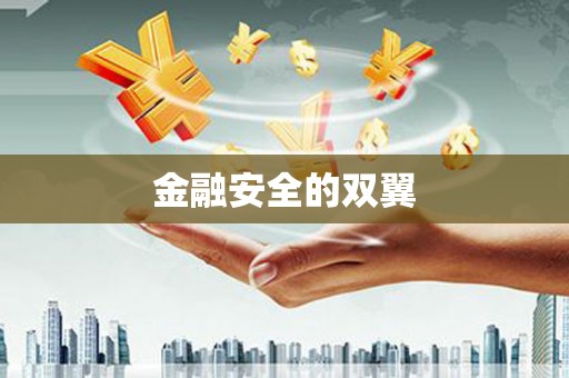 硚口金融安全的双翼