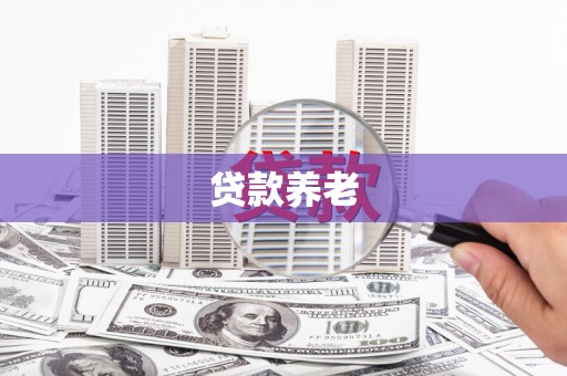 硚口贷款养老