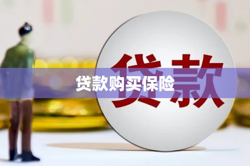 硚口贷款购买保险