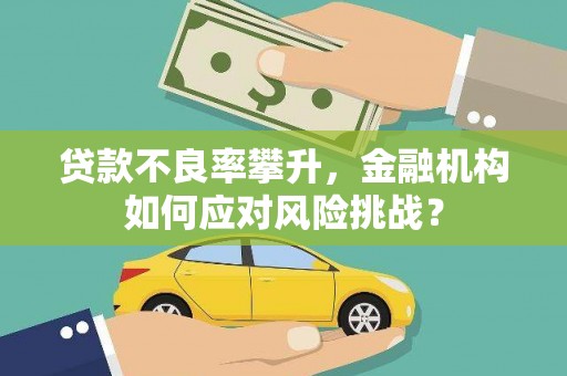 硚口贷款不良率攀升，金融机构如何应对风险挑战？