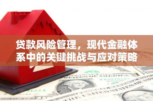 硚口贷款风险管理，现代金融体系中的关键挑战与应对策略