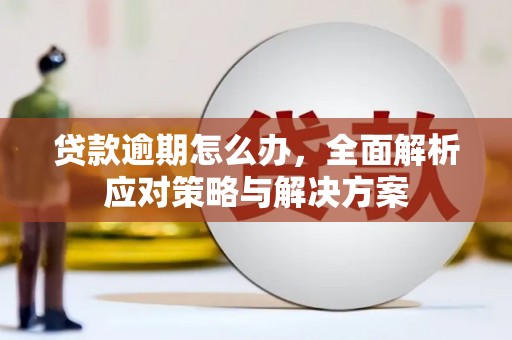 硚口贷款逾期怎么办，全面解析应对策略与解决方案