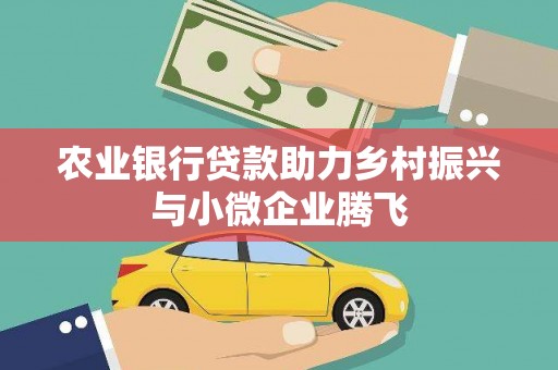 硚口农业银行贷款助力乡村振兴与小微企业腾飞