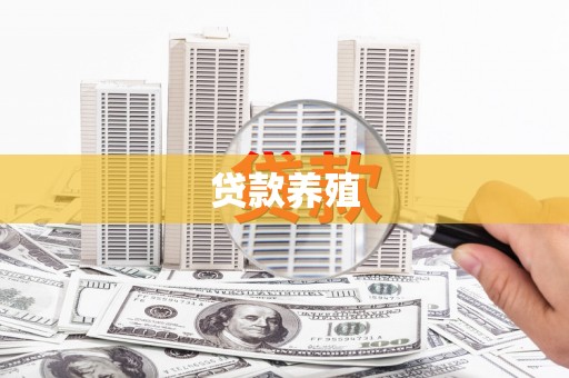 硚口贷款养殖