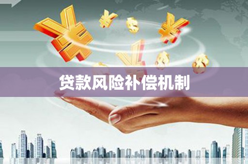 硚口贷款风险补偿机制