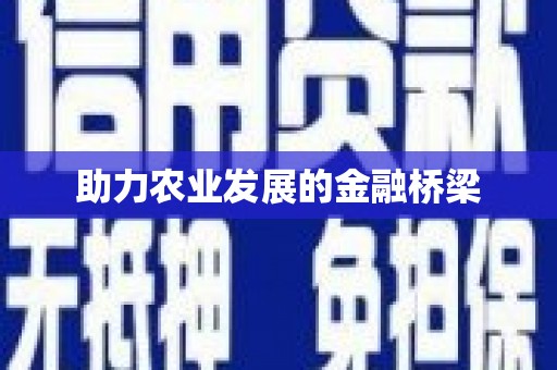 硚口助力农业发展的金融桥梁