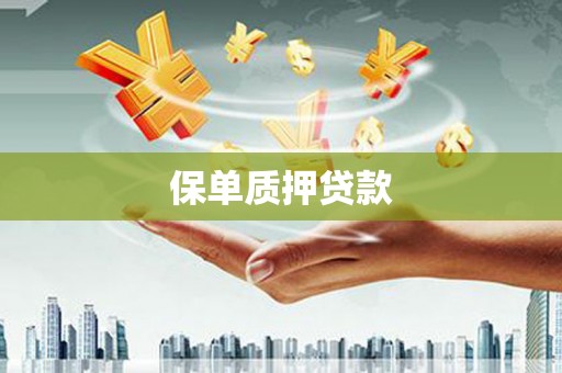 硚口保单质押贷款