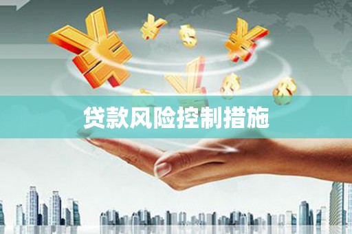 硚口贷款风险控制措施