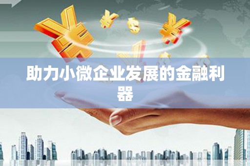 硚口助力小微企业发展的金融利器