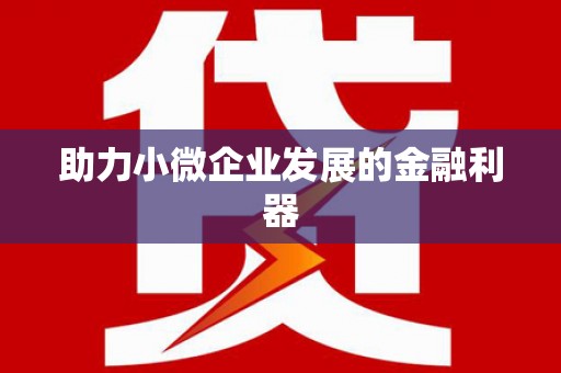 硚口助力小微企业发展的金融利器