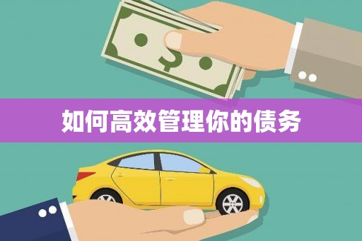 硚口如何高效管理你的债务